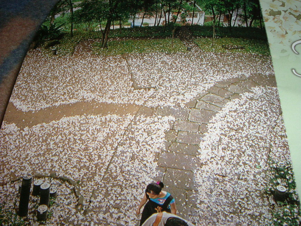 ŶǳWo{-aoä